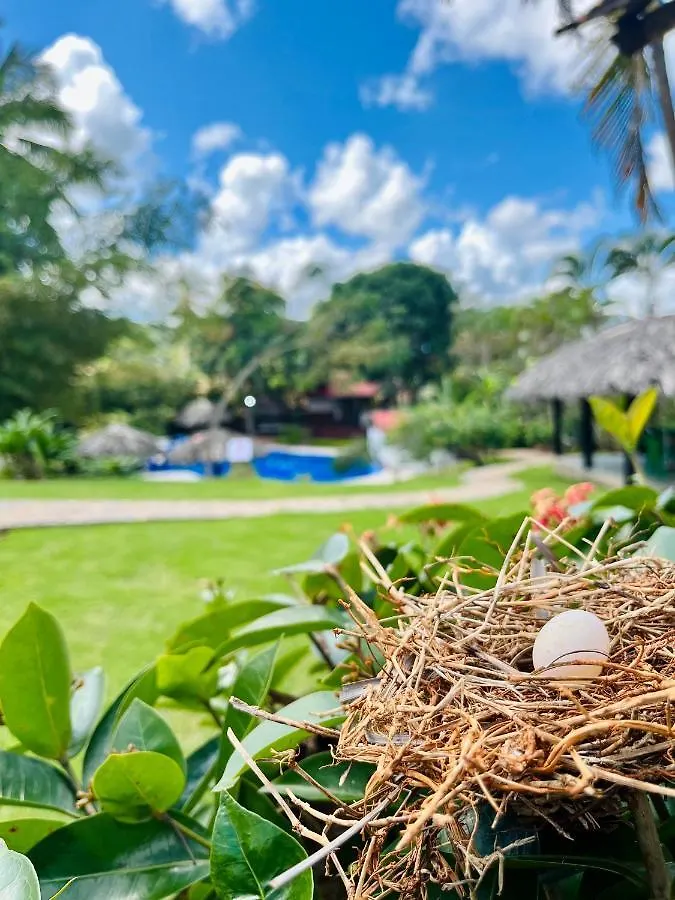 Hotel Rincon Rubi Las Galeras Dominican Republic